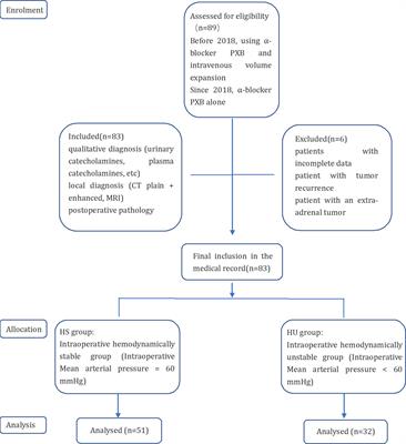 Abandonment of intravenous volume expansion after preoperative receipt of α-blockers in patients with adrenal pheochromocytoma was not an independent risk factor for intraoperative hemodynamic instability